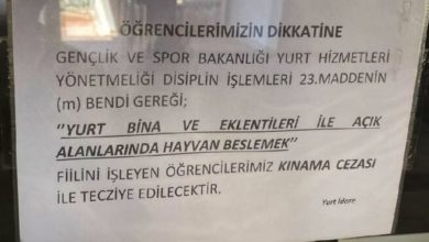 Sokak hayvanlarını besleyen öğrencilere ceza!