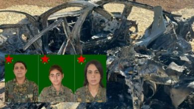 Üst düzey PKK'lı terörist öldürüldü