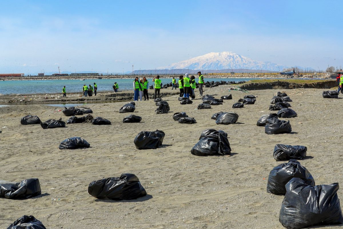 Van Gölü sahilinde 45 ton çöp toplandı #9