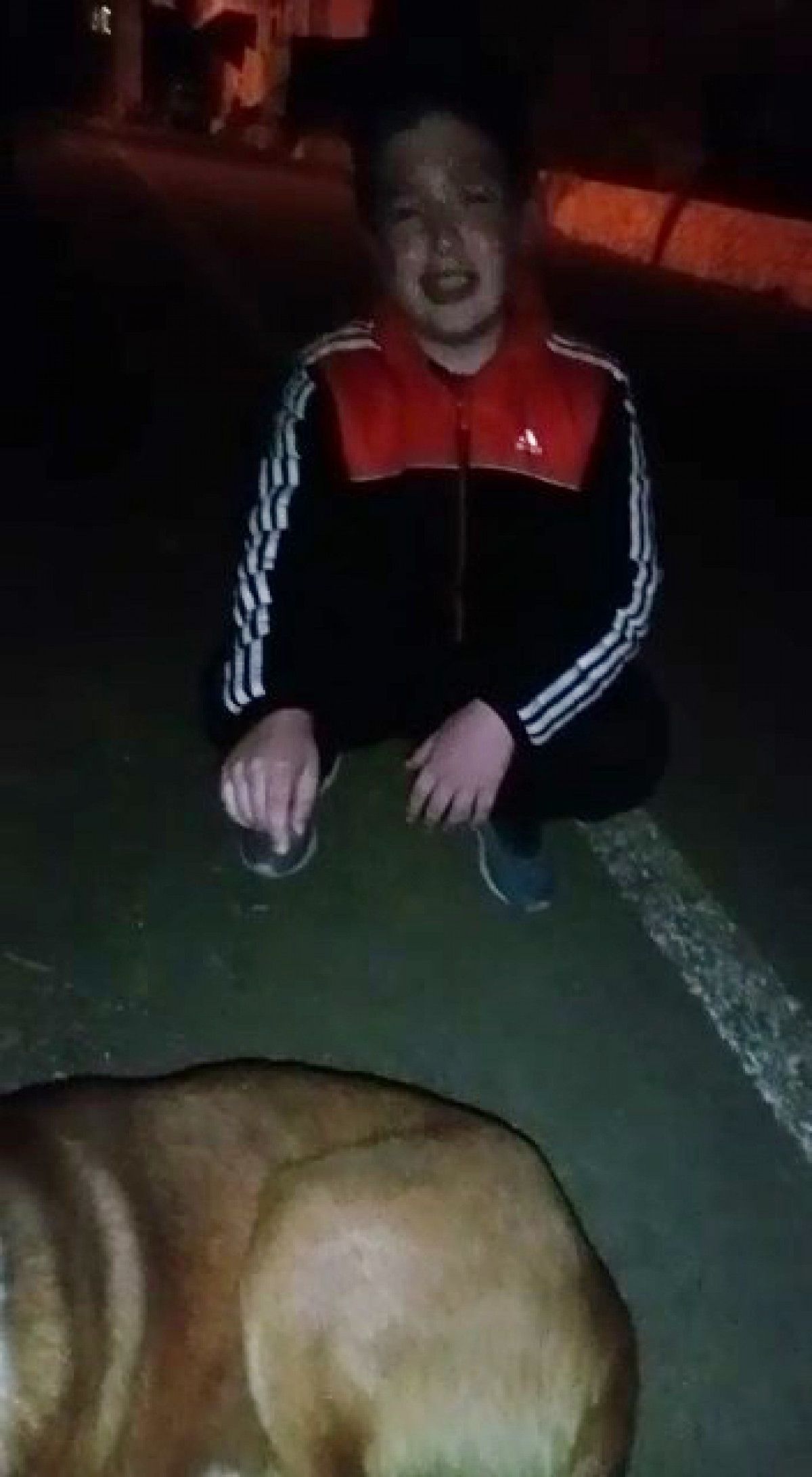 Rize de tüfekle vurulan köpeğin başında ağlayan çocuk #2