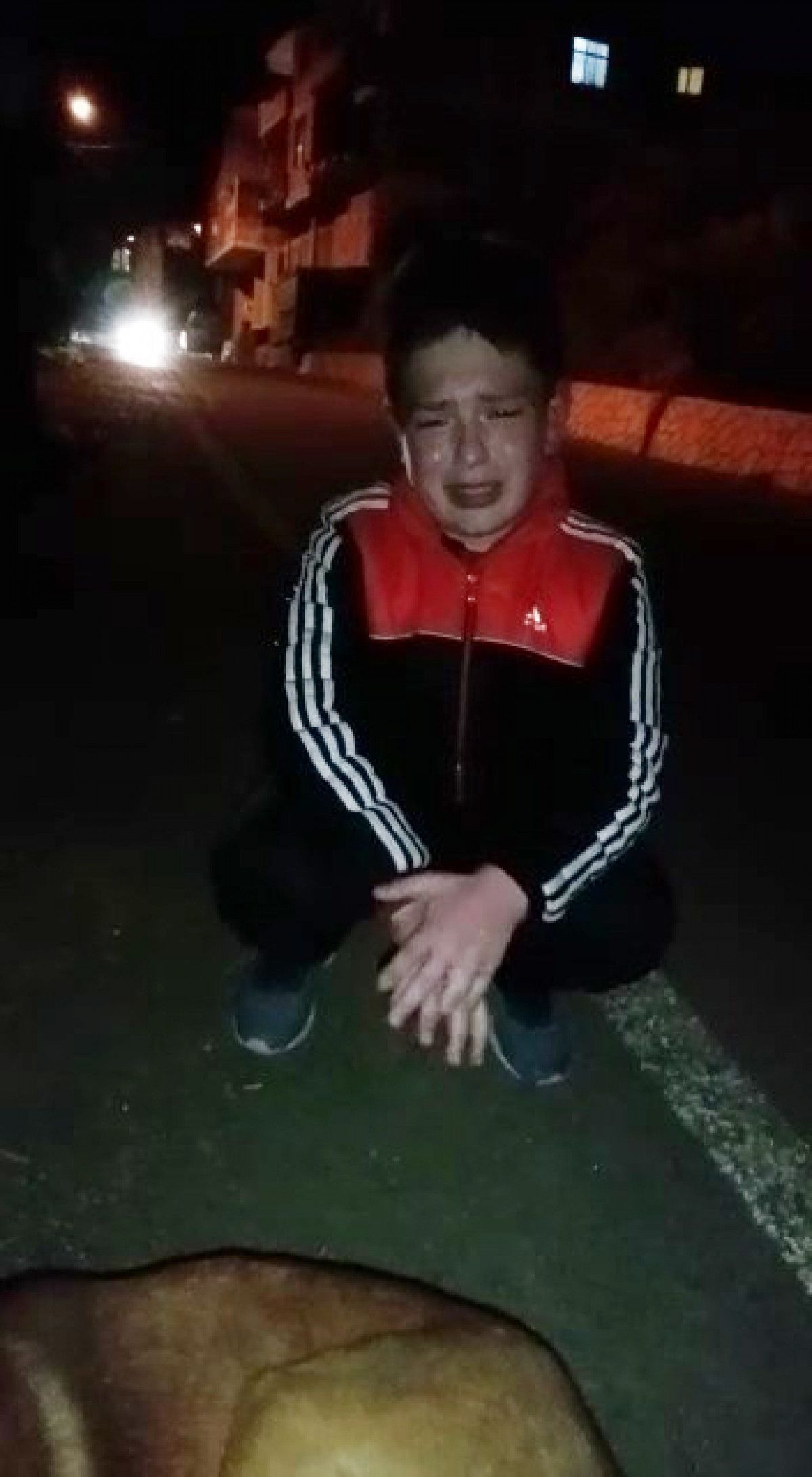 Rize de tüfekle vurulan köpeğin başında ağlayan çocuk #3