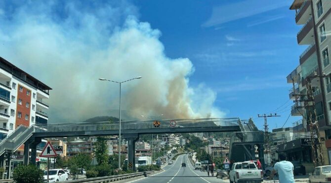 Antalya ve Hatay'da orman yangını