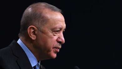 Cumhurbaşkanı Erdoğan, İsveç Başbakanı ile NATO üyeliğini görüştü