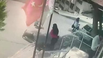 Gaziosmanpaşa'da, aile sağlığı merkezi önündeki kadına sokak köpekleri saldırdı