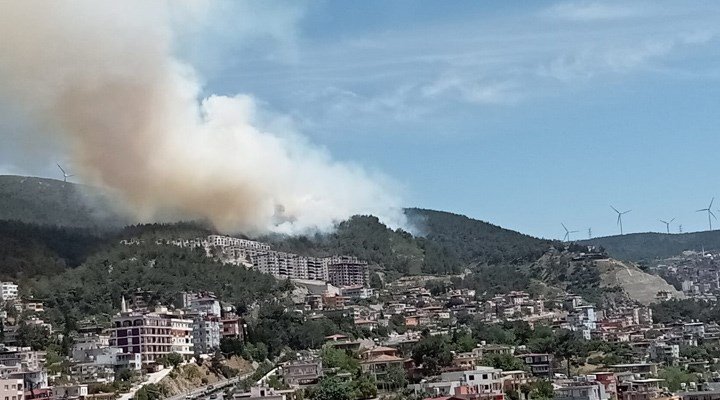 Hatay'da orman yangını