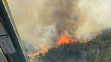 İzmir'in iki ilçesinde orman yangını