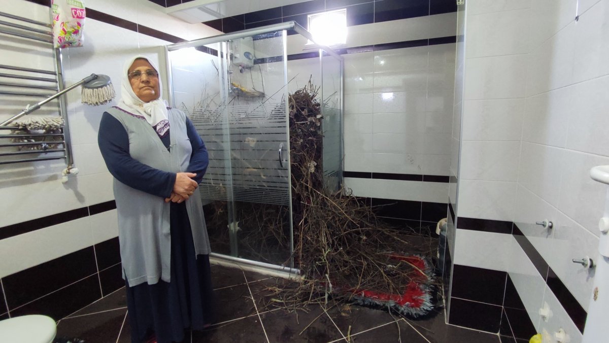 Sakarya daki ev kargaların getirdiği çöplerle doldu #2