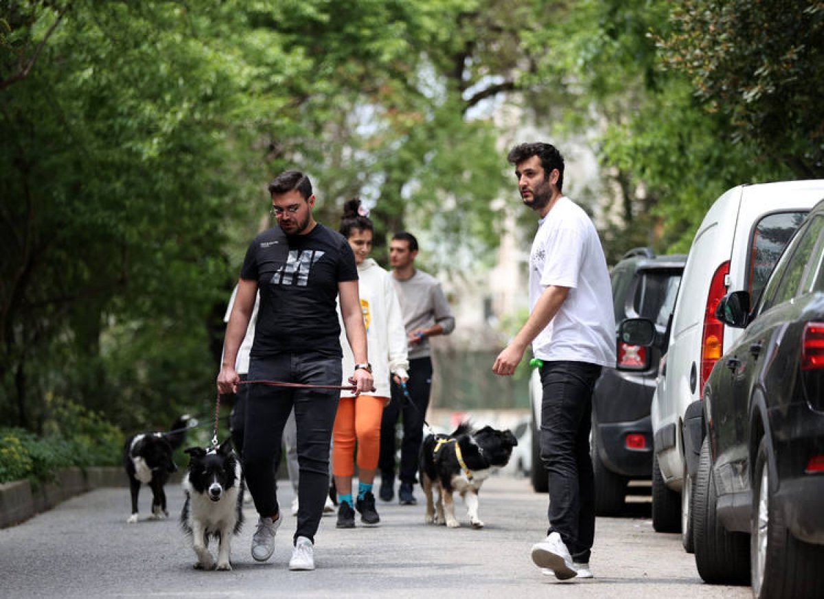 İstanbul da köpek gezdirip kazanç sağlıyorlar #2