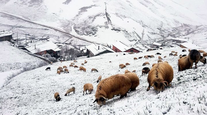 Mayıs ayında birçok ile kar sürprizi