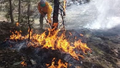 Muğla’da orman yangını: Rüzgarın etkisiyle yayıldı