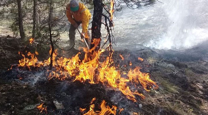 Muğla’da orman yangını: Rüzgarın etkisiyle yayıldı