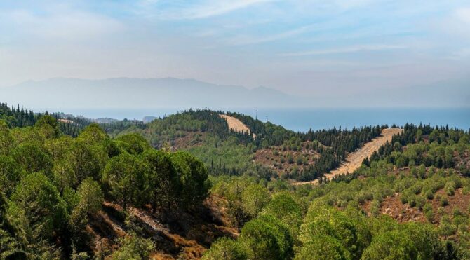 OGM kura sonuçları belli oluyor