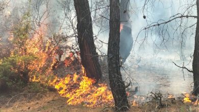 Pamukkale'de 1 günde 2 orman yangını