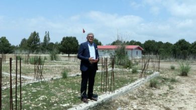 Tarsus-Kazanlı Kıyı Kesimi Turizm Projesi’nde 4 yıldır çivi çakılmadı