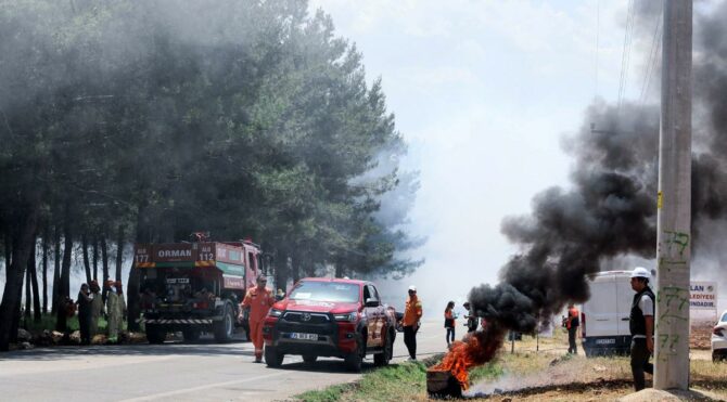 'Türkiye'nin en büyük orman yangını tatbikatı' gerçekleştirildi