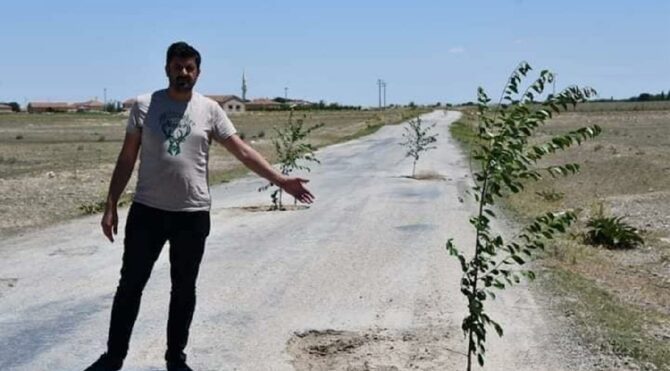 AKP'li başkandan bozuk yola ağaç diken vatandaş hakkında suç duyurusu