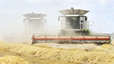 AKP tarımdaki sorunları özel sektörle çözecek