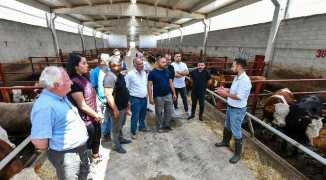 Ankara Büyükşehir Belediyesi'nden hayvancılığa teşvik projesi