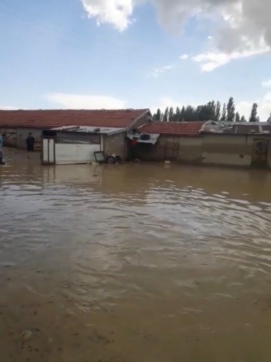 Ankara sel meydana geldi, hayvanlar telef oldu #1