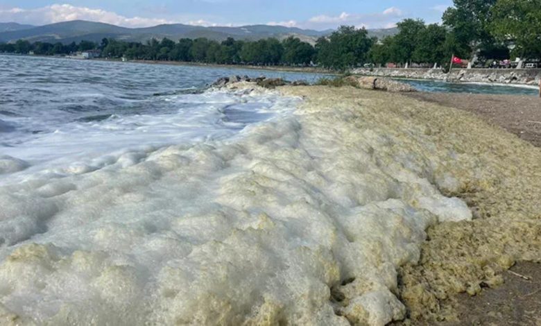 Bursa'da İznik Gölü'ne girmek yasaklandı