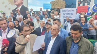 CHP'li Deniz: 'AKP gider ayak çay tarımının ipini çekmeye çalışıyor'