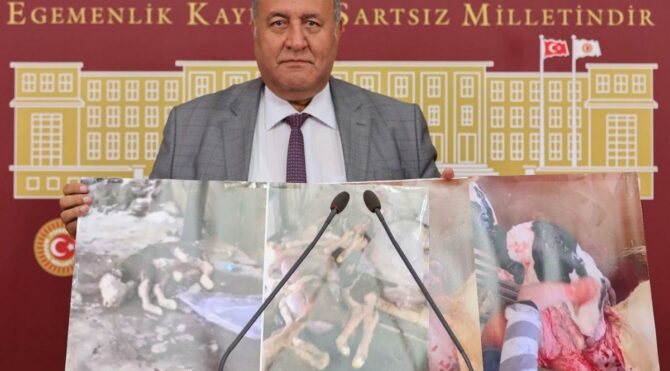 CHP'li Gürer: Yem fiyatlarındaki fahiş artış, hayvancılığı bitirme noktasına getirdi