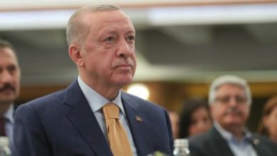 Cumhurbaşkanı Erdoğan: En ağır darbeleri indirdik