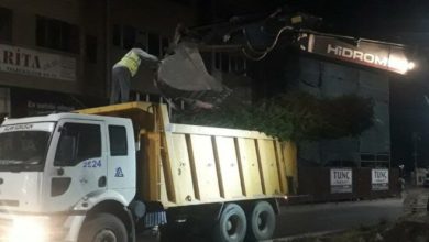 Elazığ Belediye'sinden yol çalışması için ağaç katliamı