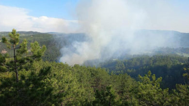 Göynük'te orman yangını! 1 hektar alan zarar gördü