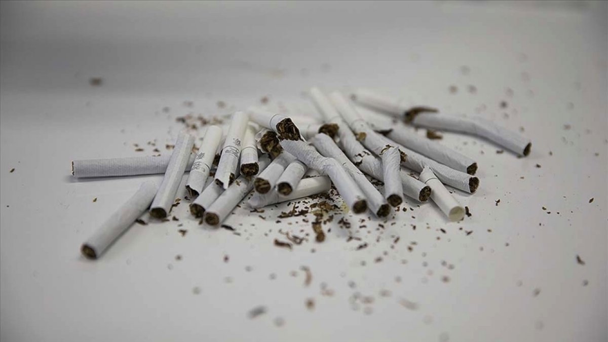 Kanada da her sigaranın üzerinde uyarı yazısı yer alacak #1