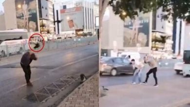 İstanbul'da kargalar insanlara saldırdı