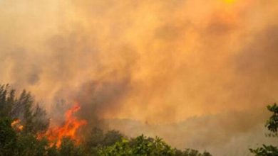 İYİ Parti'nin orman yangınlarıyla mücadele önergesi reddedildi