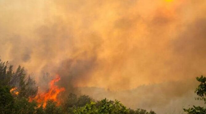 İYİ Parti'nin orman yangınlarıyla mücadele önergesi reddedildi