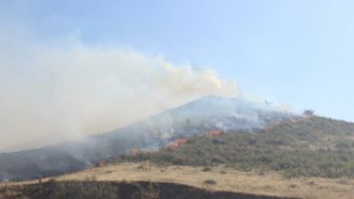 Manisa’da korkutan yangın: Havadan ve karadan müdahale edildi