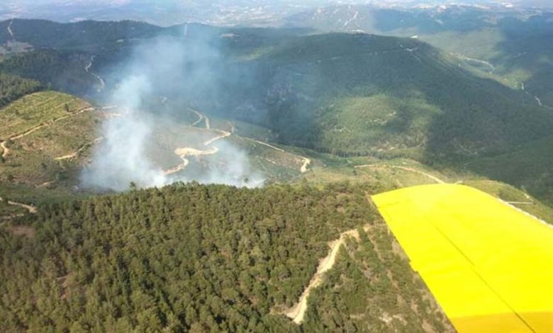 Manisa’da orman yangını