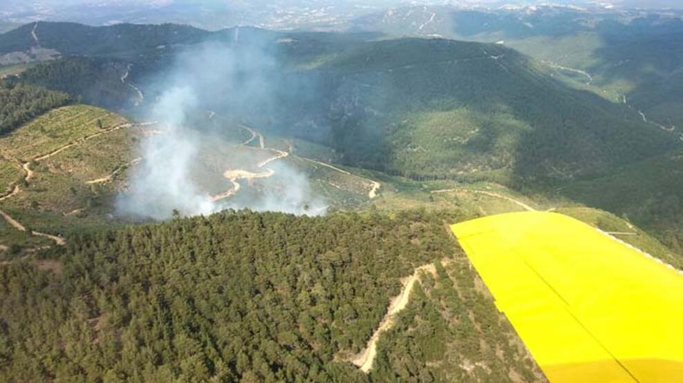 Manisa’da orman yangını