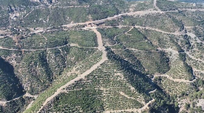 Manisa'da ormanlık alanlara girişler yasaklandı