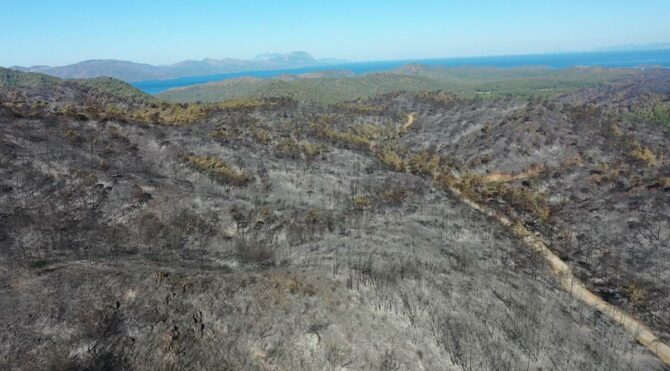 Marmaris'te yanan ormanlık alanlar görüntülendi