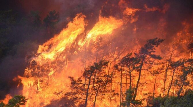 Marmaris’teki yangın 4 gündür söndürülemiyor