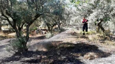 Muğla'da orman yangını bitti, anız yangınları başladı