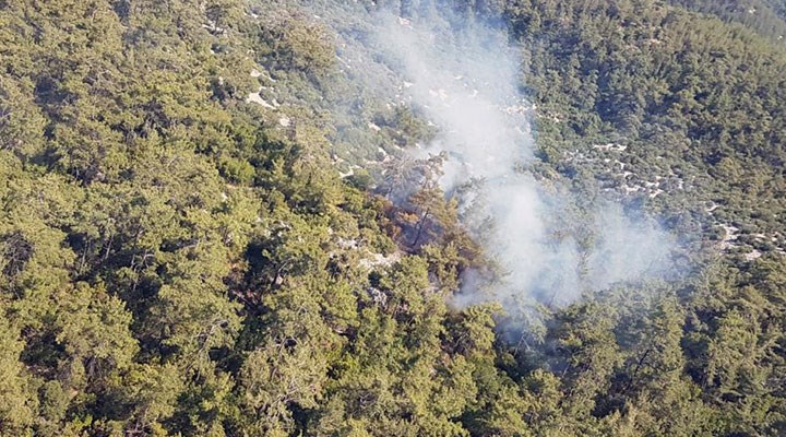 Muğla Milas’ta orman yangını