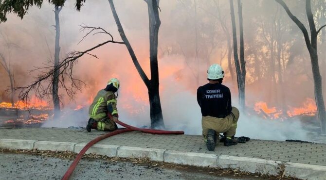 Sasalı Doğal Yaşam Parkı’ndaki yangın kontrol altına alındı