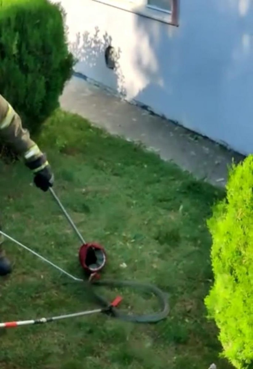 Bursa da site bahçesinde 1.5 metre boyunda yılan yakalandı #3