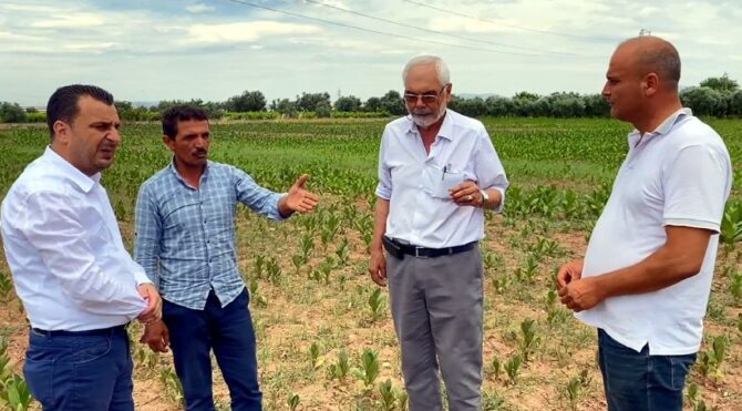 Tütün üreticileri CHP’li Başevirgen’e dert yandı