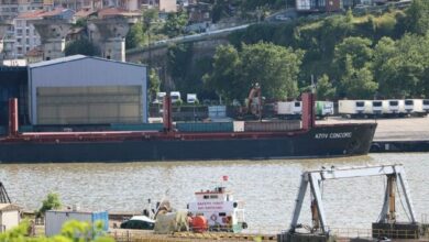 Ukrayna'dan çıkan gemi, Zonguldak'a geldi