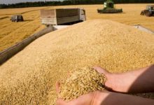 Ukrayna'dan tahıl ihracatı anlaşması için güvenlik garantisi talebi