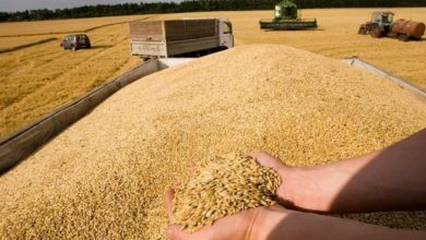 Ukrayna'dan tahıl ihracatı anlaşması için güvenlik garantisi talebi