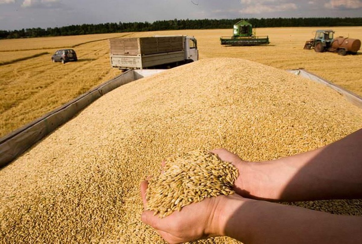 Ukrayna dan tahıl ihracatı anlaşması için güvenlik garantisi talebi #1