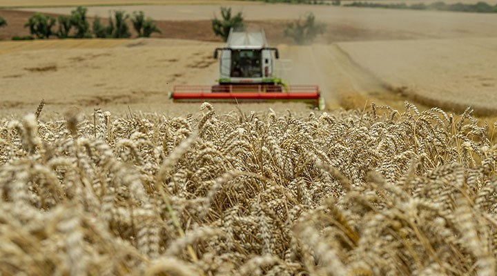 4 bin 120 dönüm ekili ve hasat bekleyen buğday tarlası yandı