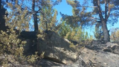 Adıyaman'daki orman yangınında 2 hektarlık alan yandı